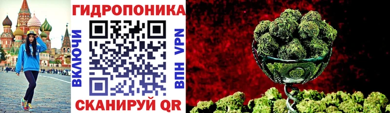 Шишки марихуана сатива  Мурманск 